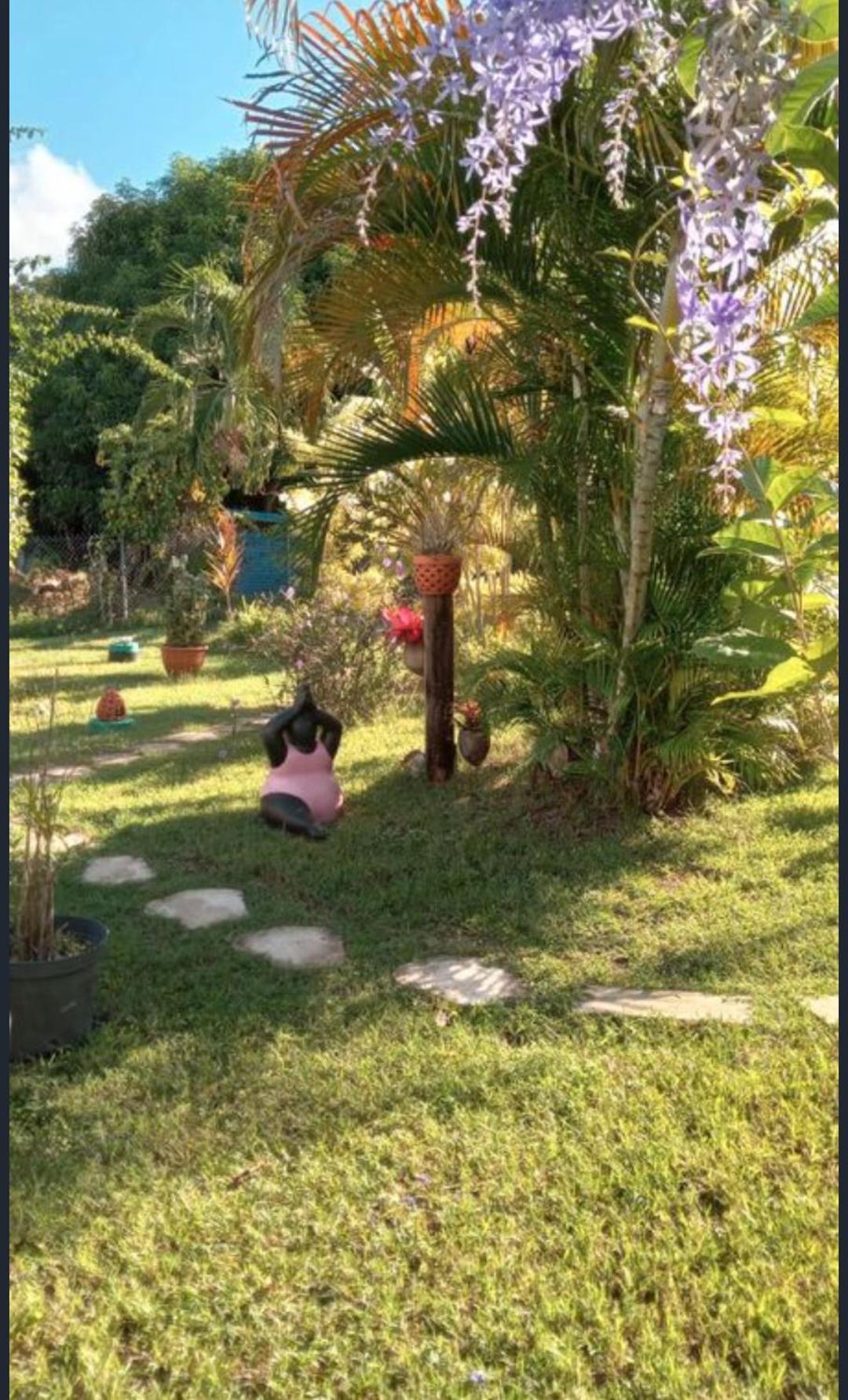 Gîte Cajou dans Domaine Tropical ventilé à Sainte-Anne Esterno foto