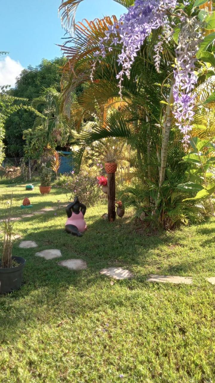 Gîte Cajou dans Domaine Tropical ventilé à Sainte-Anne Esterno foto