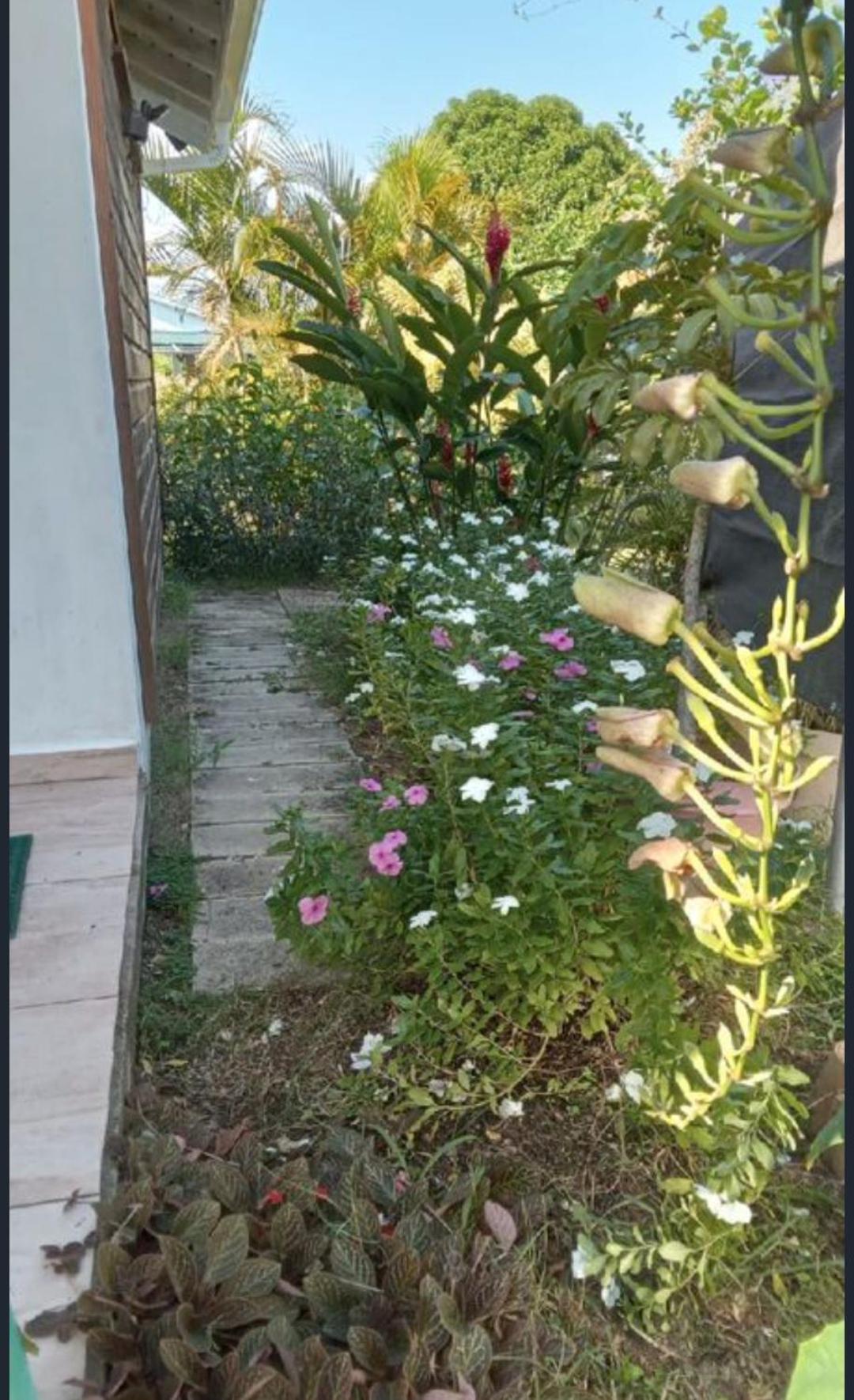 Gîte Cajou dans Domaine Tropical ventilé à Sainte-Anne Esterno foto